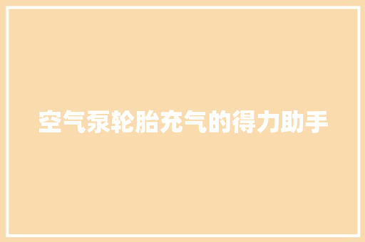空气泵轮胎充气的得力助手 灯具安装