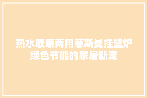 热水取暖两用菲斯曼挂壁炉绿色节能的家居新宠 灯具安装