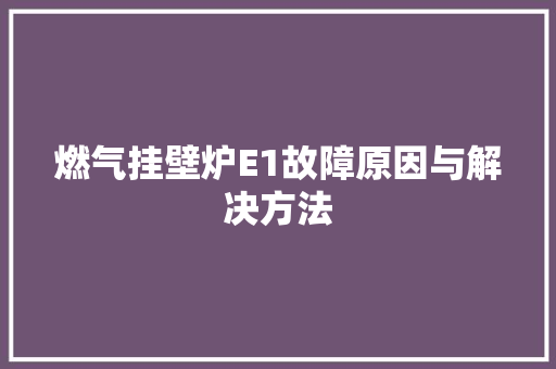 燃气挂壁炉E1故障原因与解决方法 家电维护