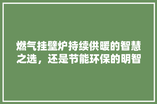 燃气挂壁炉持续供暖的智慧之选，还是节能环保的明智之策 冰箱