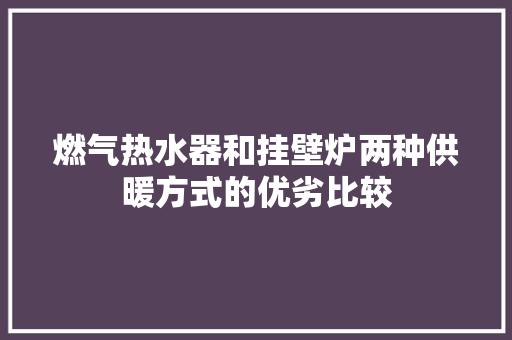 燃气热水器和挂壁炉两种供暖方式的优劣比较 局部翻新 燃气热水器和挂壁炉两种供暖方式的优劣比较 局部翻新