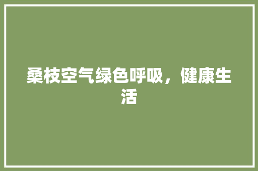 桑枝空气绿色呼吸，健康生活 热水器