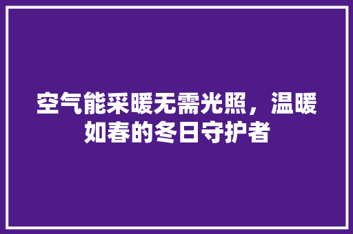 空气能采暖无需光照，温暖如春的冬日守护者 热水器
