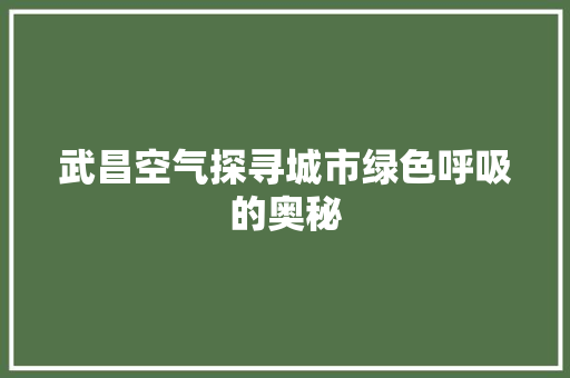 武昌空气探寻城市绿色呼吸的奥秘 龙头管件