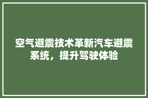空气避震技术革新汽车避震系统，提升驾驶体验 局部翻新