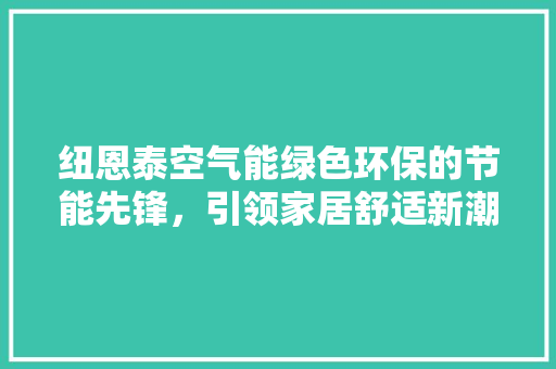纽恩泰空气能绿色环保的节能先锋，引领家居舒适新潮流 洗衣机