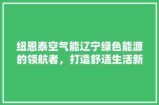 纽恩泰空气能辽宁绿色能源的领航者，打造舒适生活新风尚 家具修理