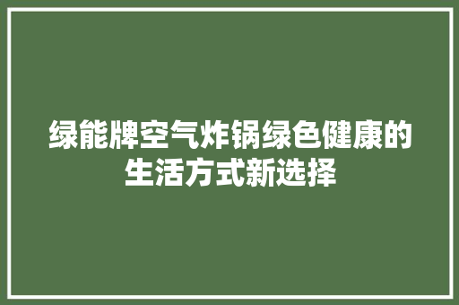 绿能牌空气炸锅绿色健康的生活方式新选择 旧房改造
