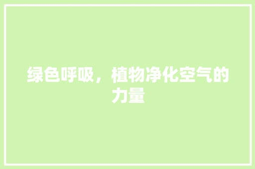 绿色呼吸，植物净化空气的力量 水电维修