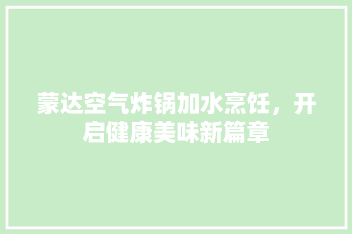 蒙达空气炸锅加水烹饪，开启健康美味新篇章 清洁保养