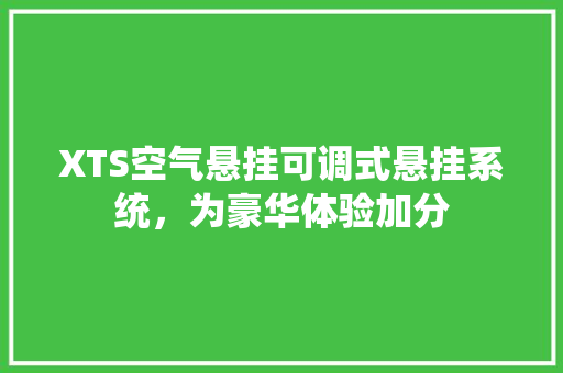 XTS空气悬挂可调式悬挂系统，为豪华体验加分 旧房改造