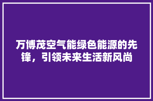 万博茂空气能绿色能源的先锋，引领未来生活新风尚 空调