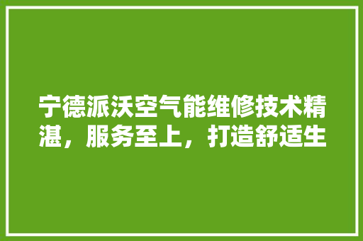 宁德派沃空气能维修技术精湛，服务至上，打造舒适生活新体验 家电维护