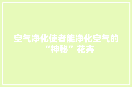 空气净化使者能净化空气的“神秘”花卉 清洁保养