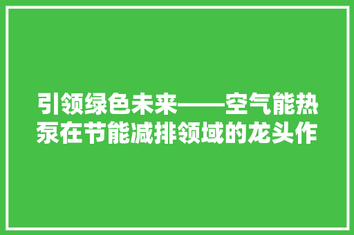 引领绿色未来——空气能热泵在节能减排领域的龙头作用 清洁保养