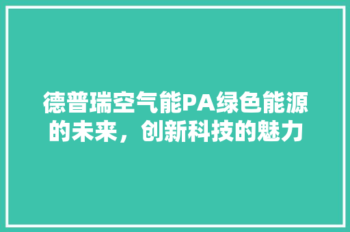 德普瑞空气能PA绿色能源的未来，创新科技的魅力 清洁保养