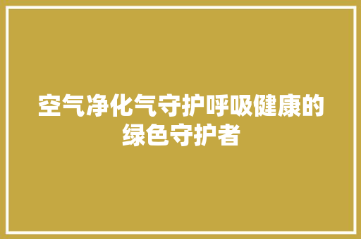 空气净化气守护呼吸健康的绿色守护者 水电维修