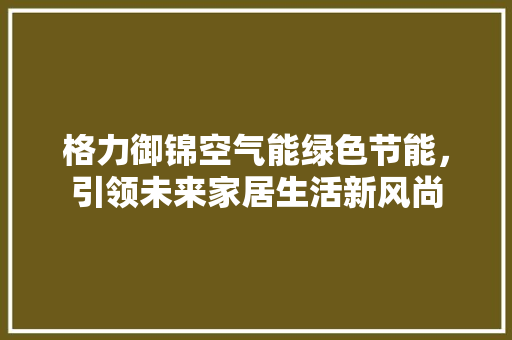 格力御锦空气能绿色节能，引领未来家居生活新风尚 热水器