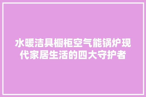 水暖洁具橱柜空气能锅炉现代家居生活的四大守护者 旧房改造
