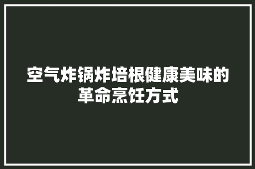 空气炸锅炸培根健康美味的革命烹饪方式 家居维修
