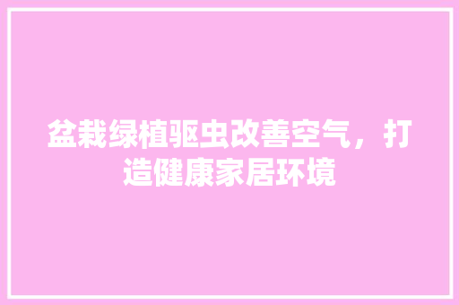 盆栽绿植驱虫改善空气，打造健康家居环境 洗衣机