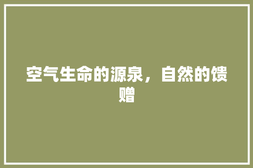空气生命的源泉，自然的馈赠 洗衣机