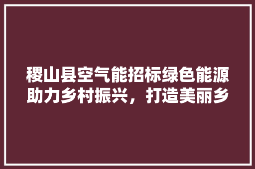 稷山县空气能招标绿色能源助力乡村振兴，打造美丽乡村新典范 空调