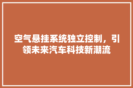 空气悬挂系统独立控制，引领未来汽车科技新潮流 灯具安装