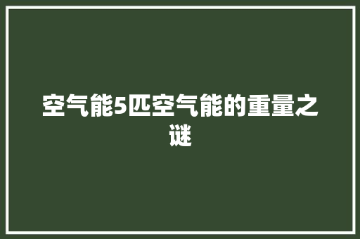 空气能5匹空气能的重量之谜 家电维护