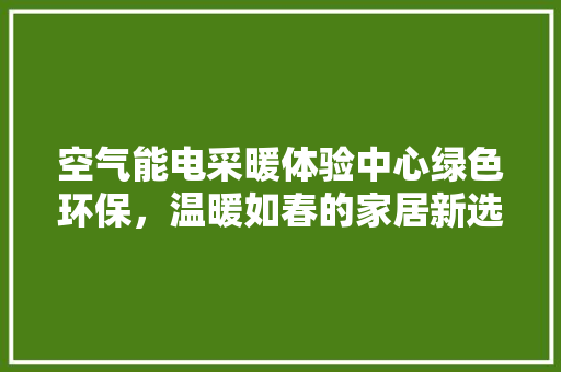 空气能电采暖体验中心绿色环保，温暖如春的家居新选择 空调
