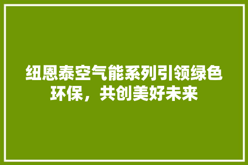 纽恩泰空气能系列引领绿色环保，共创美好未来 空调