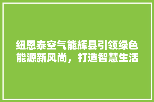 纽恩泰空气能辉县引领绿色能源新风尚，打造智慧生活新标杆 清洁保养