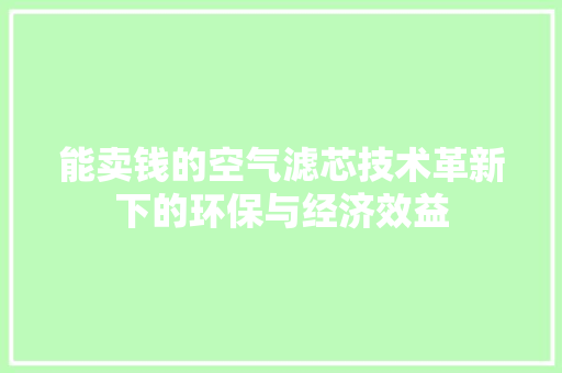 能卖钱的空气滤芯技术革新下的环保与经济效益 灯具安装
