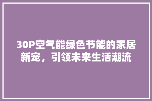 30P空气能绿色节能的家居新宠，引领未来生活潮流 家电维护