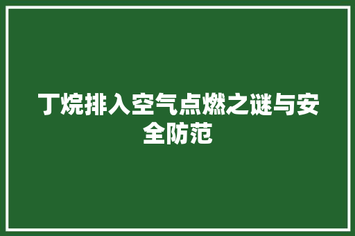 丁烷排入空气点燃之谜与安全防范 洁具维修