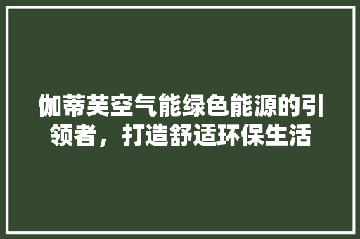 伽蒂芙空气能绿色能源的引领者，打造舒适环保生活 清洁保养
