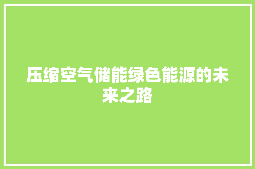 压缩空气储能绿色能源的未来之路 热水器