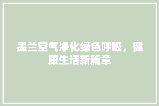 墨兰空气净化绿色呼吸，健康生活新篇章 家具修理