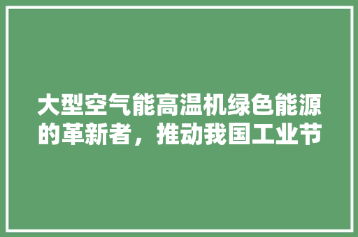 大型空气能高温机绿色能源的革新者，推动我国工业节能新篇章 龙头管件