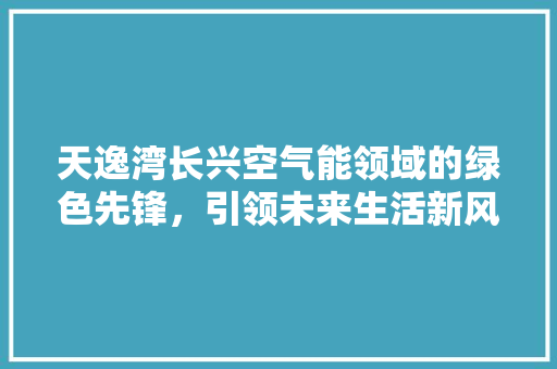 天逸湾长兴空气能领域的绿色先锋，引领未来生活新风尚 水电维修