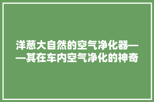 洋葱大自然的空气净化器——其在车内空气净化的神奇功效 龙头管件
