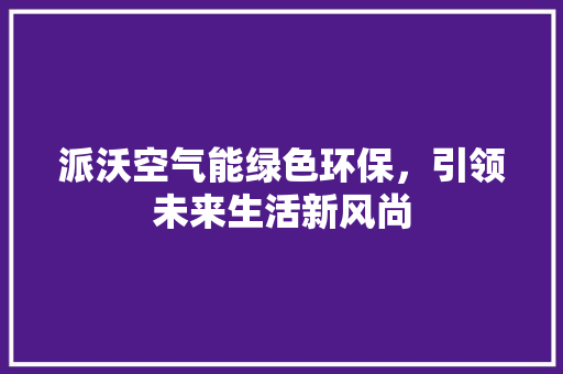 派沃空气能绿色环保，引领未来生活新风尚 热水器
