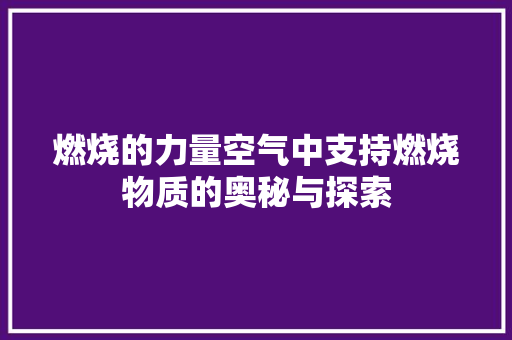 燃烧的力量空气中支持燃烧物质的奥秘与探索 翻新改色