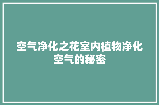 空气净化之花室内植物净化空气的秘密 家具修理