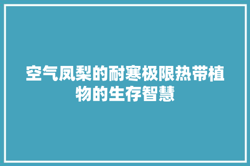 空气凤梨的耐寒极限热带植物的生存智慧 龙头管件