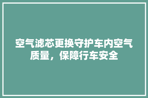 空气滤芯更换守护车内空气质量，保障行车安全 清洁保养