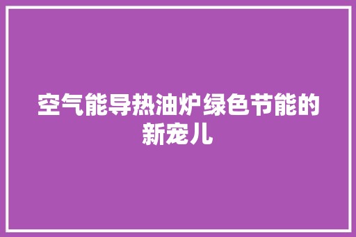 空气能导热油炉绿色节能的新宠儿 翻新改色