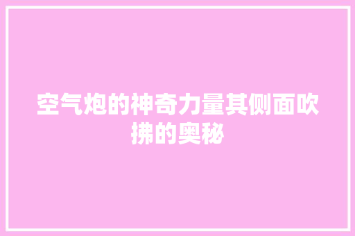 空气炮的神奇力量其侧面吹拂的奥秘 洁具维修