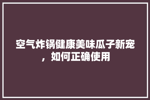 空气炸锅健康美味瓜子新宠，如何正确使用 水电维修