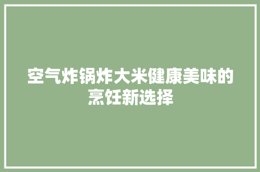 空气炸锅炸大米健康美味的烹饪新选择 翻新改色
